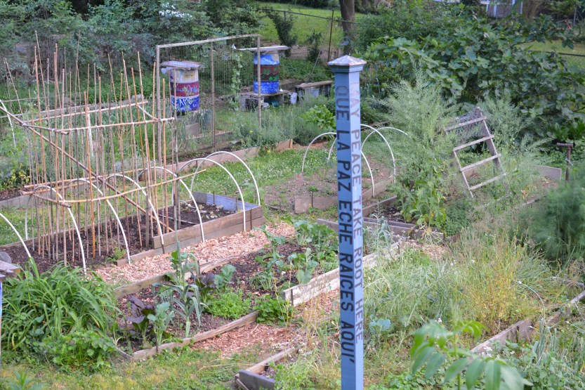 a view of the garden May 8 2016