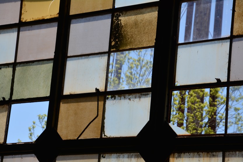 stained glass 2