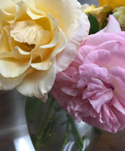 Roses in vase (2)
