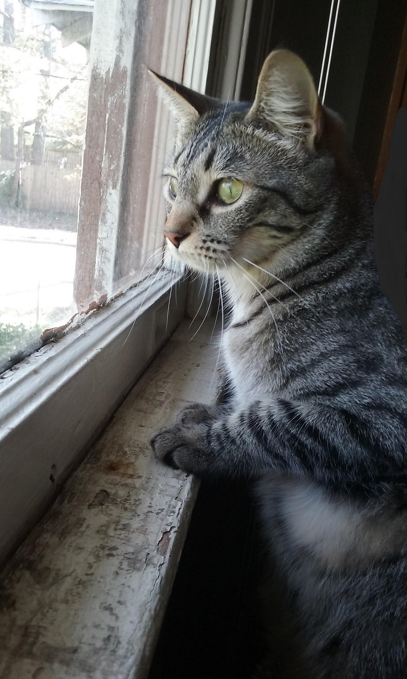 Sophie