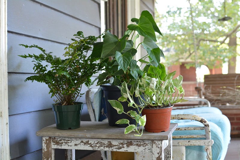 getting ready for some indoor gardening